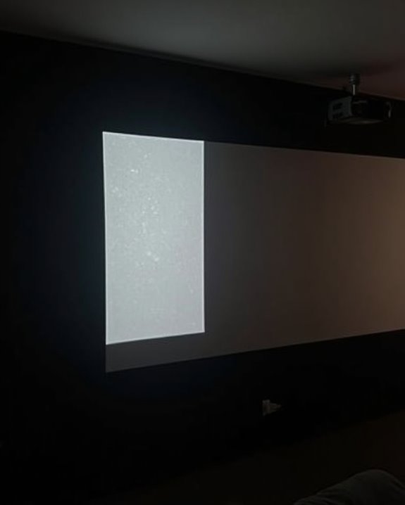 environmental projection considerations