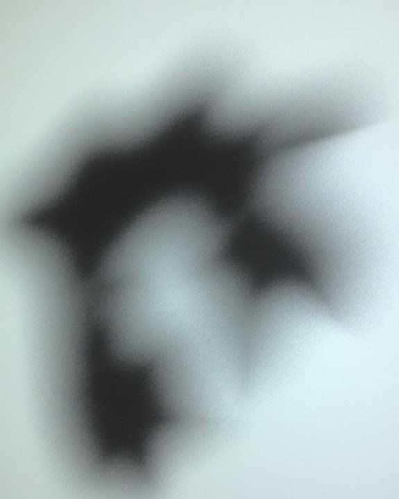 laser burn image formation