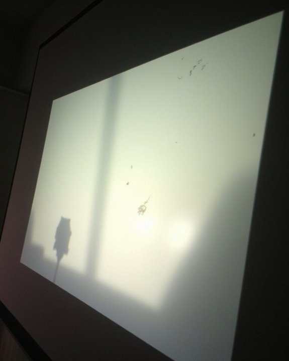 signs of projector bulb failure